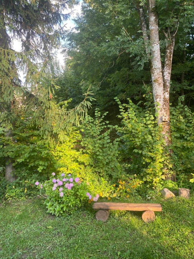 Holiday Home Usadba Novoselitsa Novoselitsa  Exterior foto