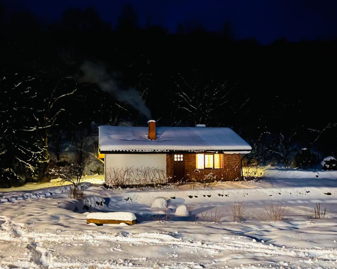 Holiday Home Usadba Novoselitsa Novoselitsa  Exterior foto